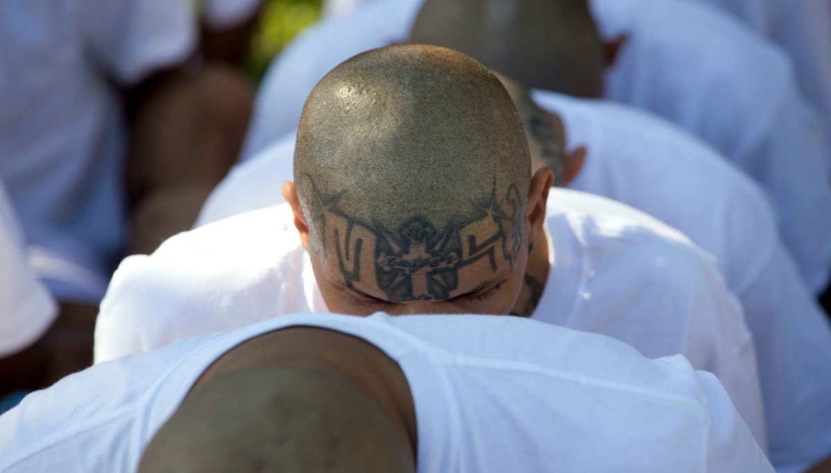 ICE leads takedown of MS-13 gang members in attempted murders near DC