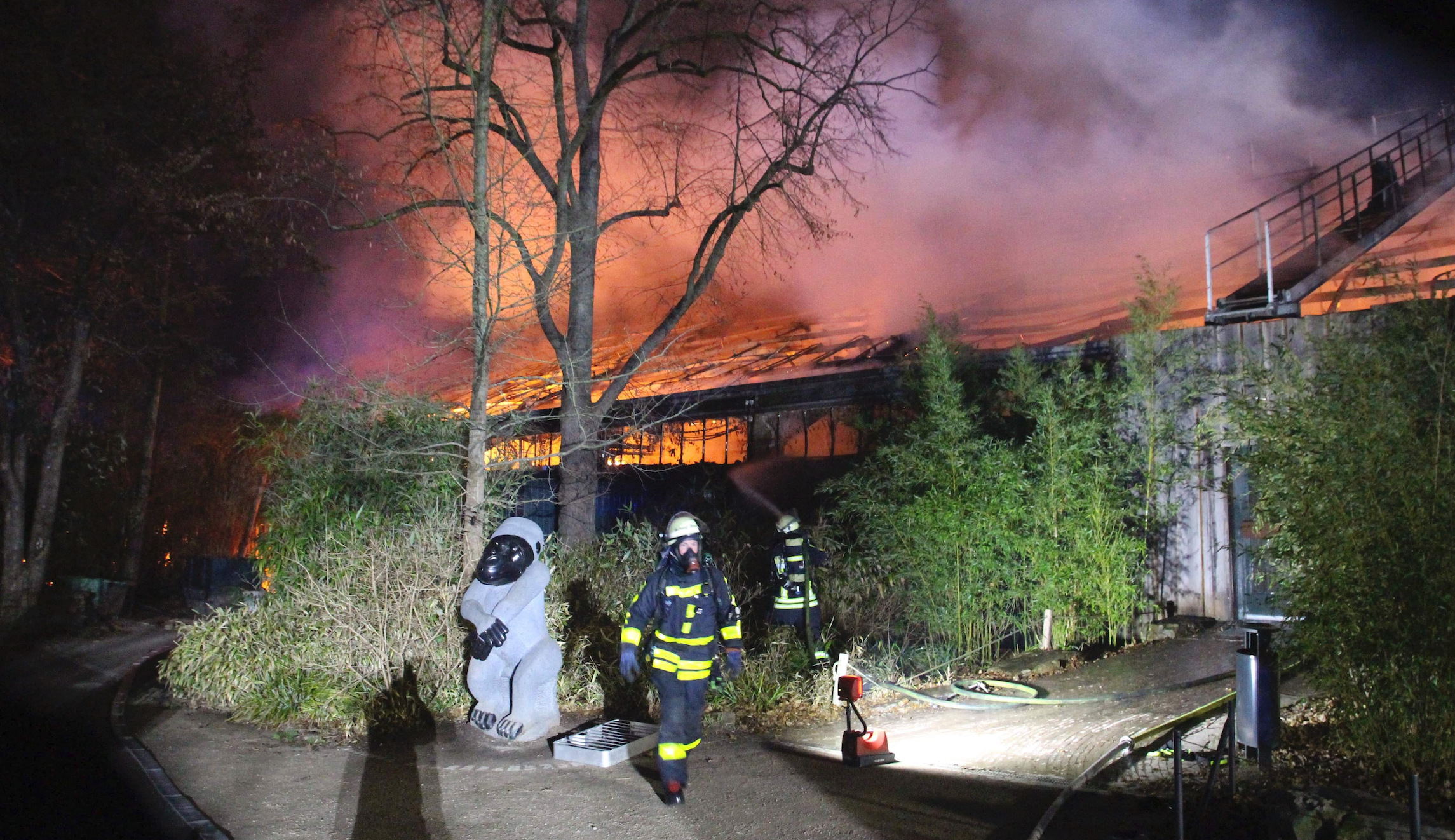 ‘Especially tragic’: Fire at German zoo leaves more than 30 animals dead