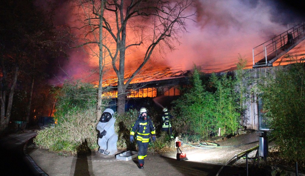 ‘Especially tragic’: Fire at German zoo leaves more than 30 animals dead