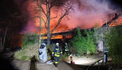 ‘Especially tragic’: Fire at German zoo leaves more than 30 animals dead