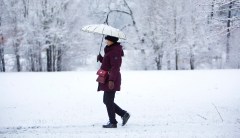 ‘Run for your lives!’: Federal workers mocked for reaction to one inch of snow