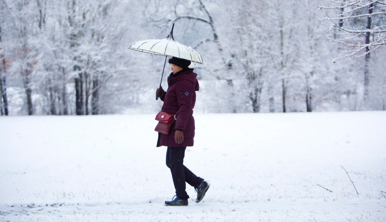 ‘Run for your lives!’: Federal workers mocked for reaction to one inch of snow
