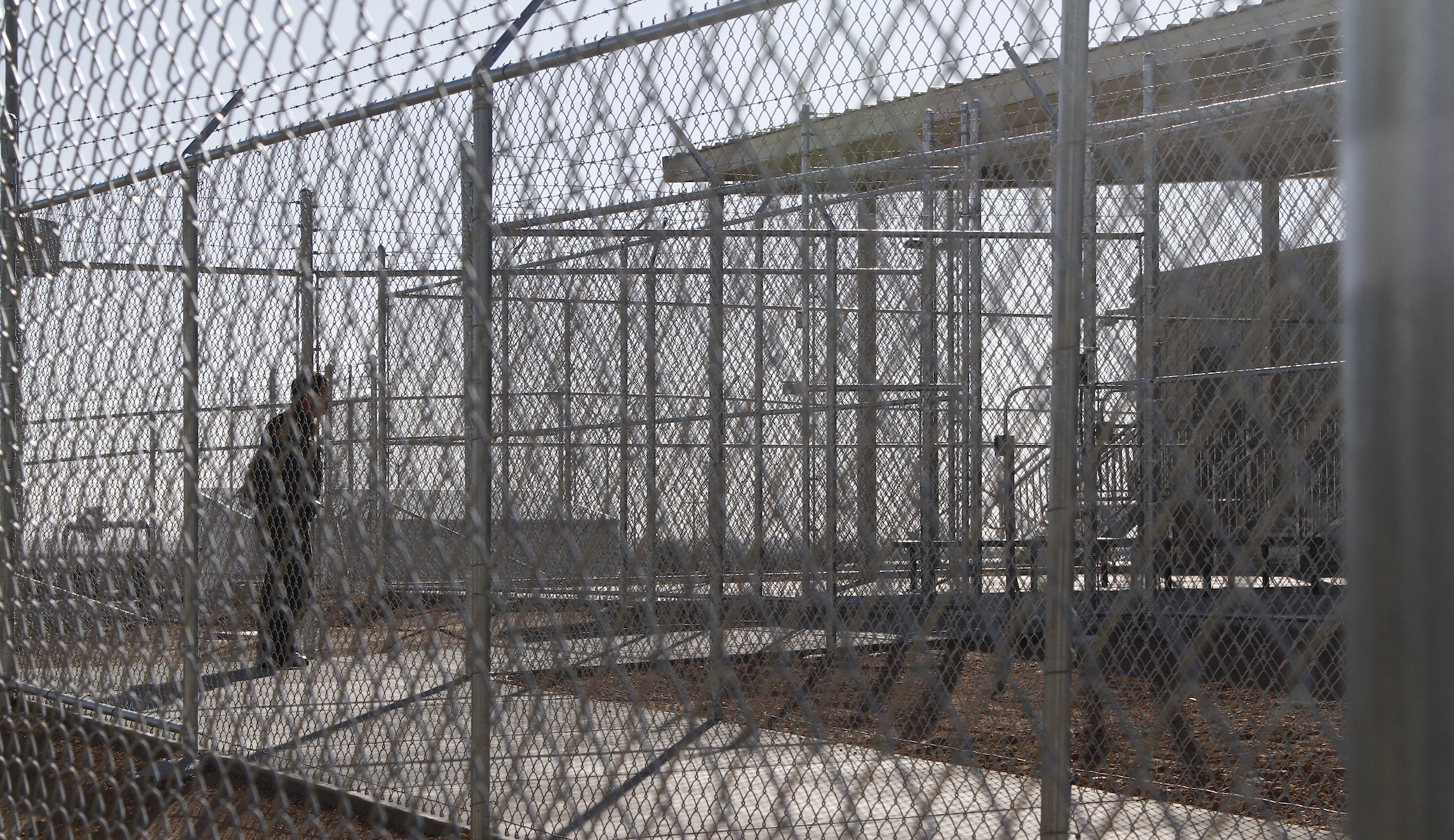 Immigration system ‘ground to a halt’ due to coronavirus