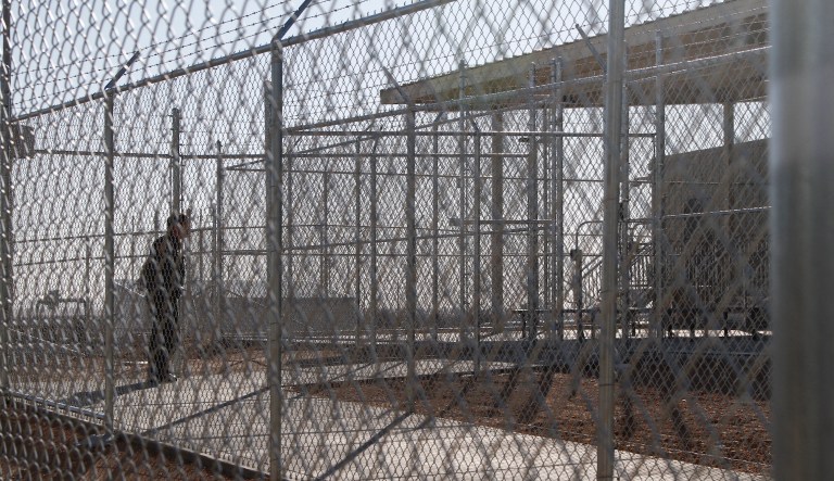 Immigration system ‘ground to a halt’ due to coronavirus