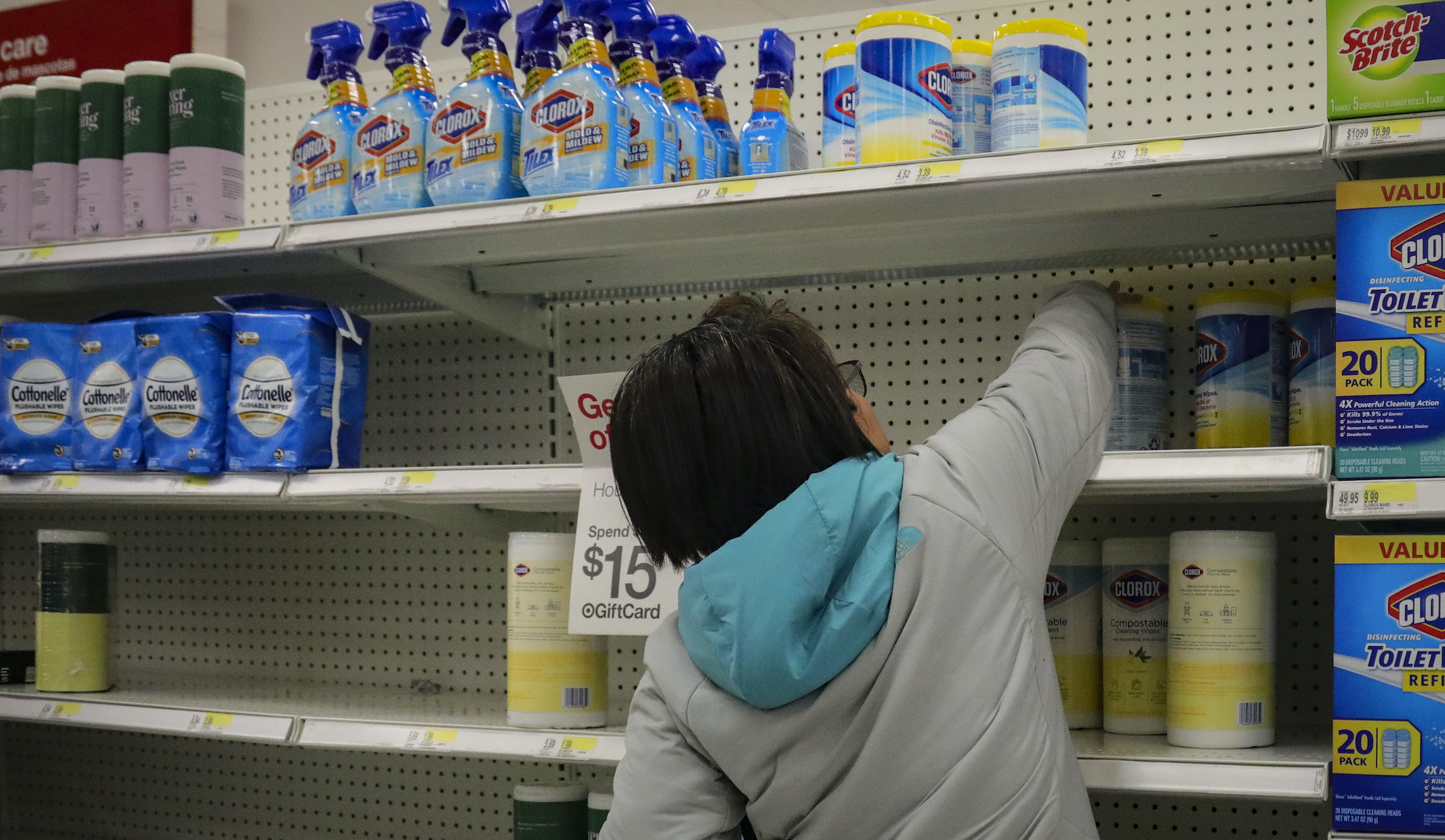 Cost of coronavirus response could double that of Ebola, public health expert tells Congress
