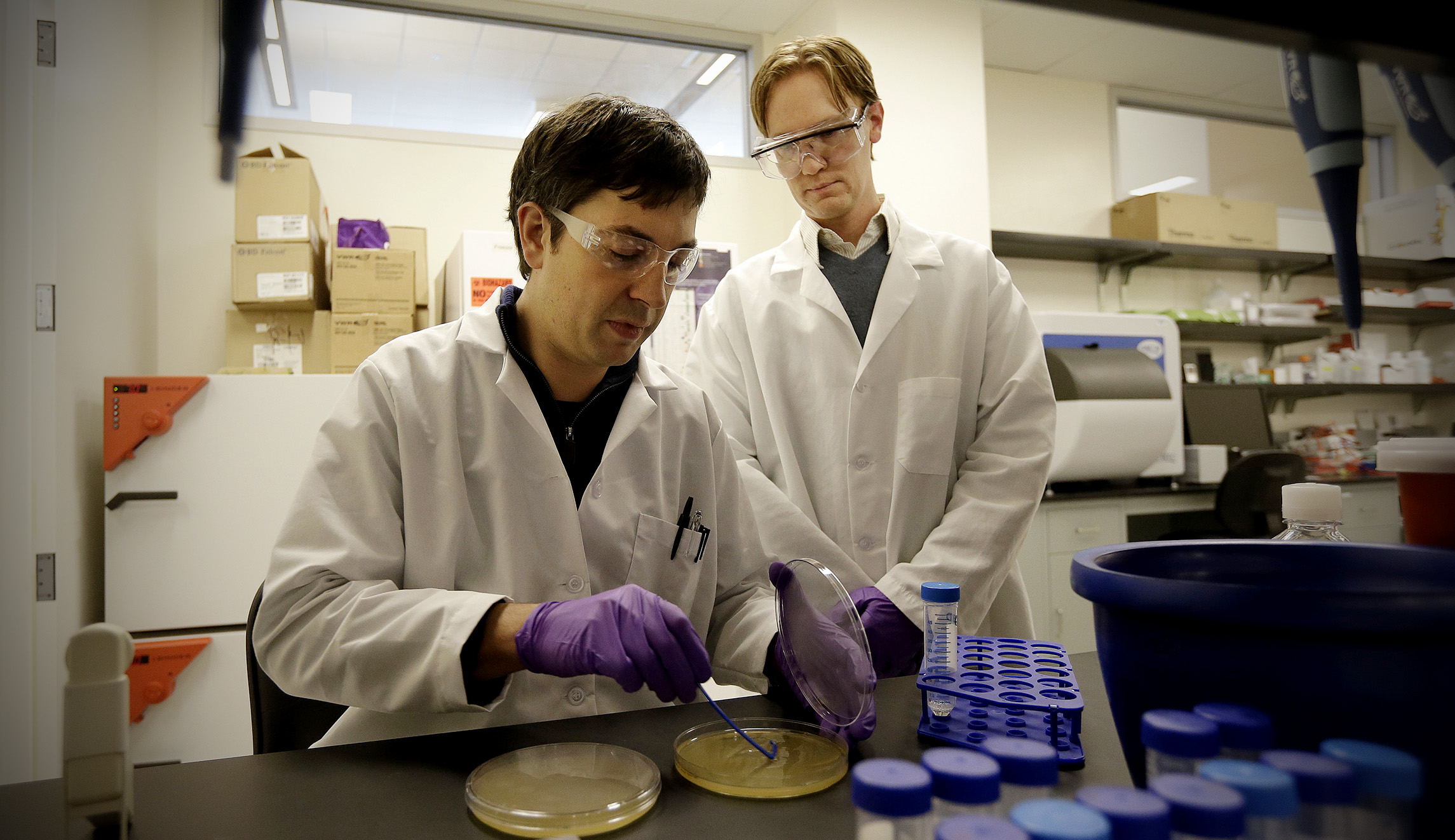 The new Right: Who needs innovation when you can stifle it?