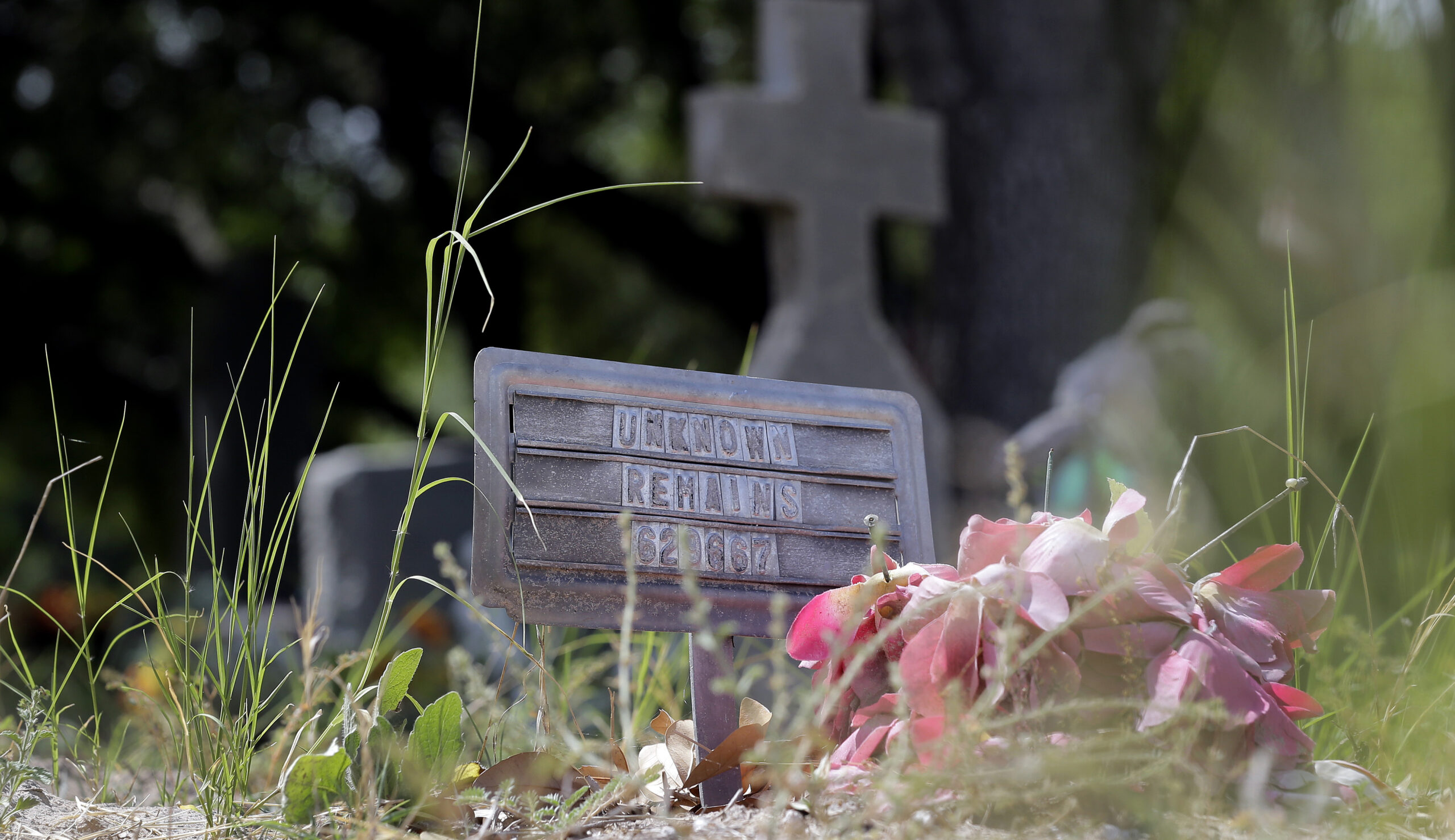 Dead bodies pile up in Texas as we fail to secure the border