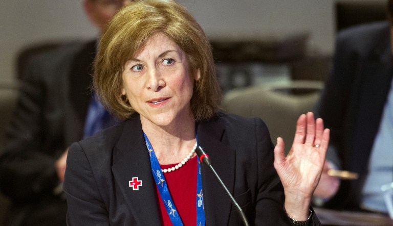 American Red Cross President and CEO Gail McGovern speaks to the National Governors Association Winter Meeting Homeland Security and Public Safety Committee in Washington, Saturday, Feb. 20, 2016.
