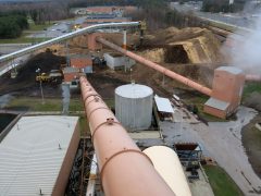 EPA’s Scott Pruitt says burning wood is renewable energy