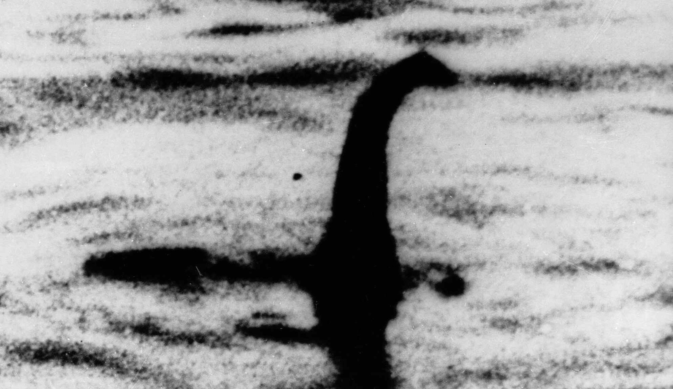Loch Ness monster could just be a giant eel, scientists say