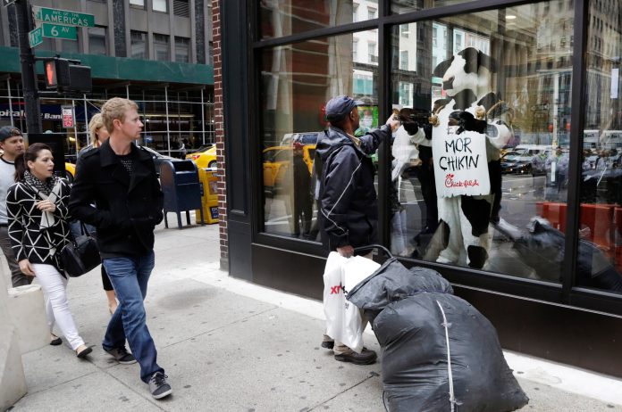 People look at a costumed Chick-fil-A cow in the window of a new Chick-fil-A restaurant in New York City.