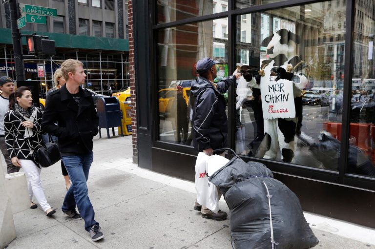 People look at a costumed Chick-fil-A cow in the window of a new Chick-fil-A restaurant in New York City.