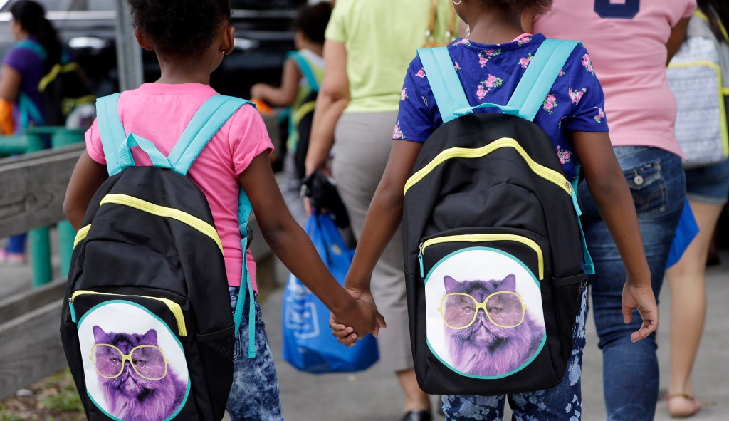 Florida Gov. DeSantis puts Common Core out of our misery