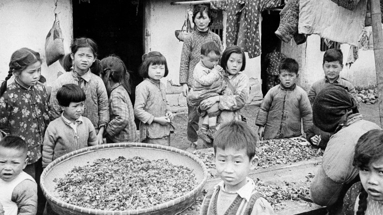 What Bernie Sanders doesn’t tell you: The devastation of ‘real socialism’