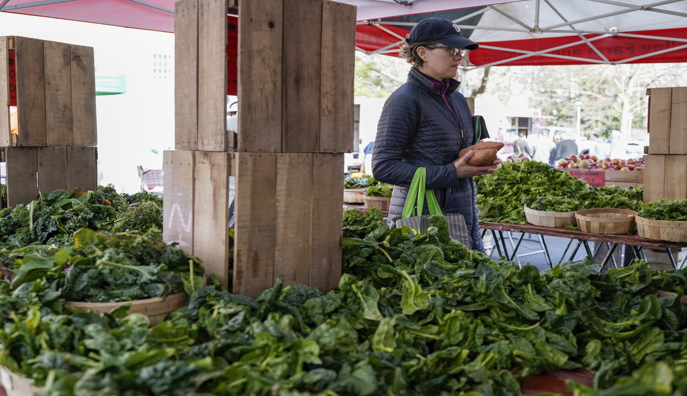 Border closures have farm industry concerned for loss of seasonal workers