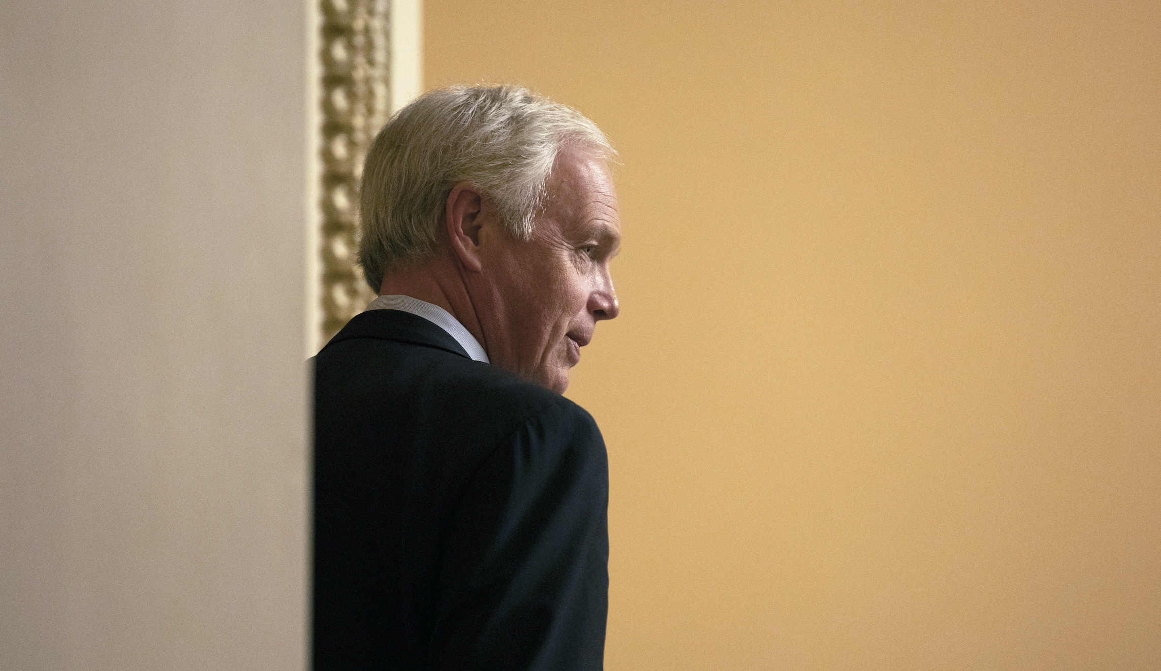 Ron Johnson cancels Ukrainian witness subpoena vote related to Hunter Biden
