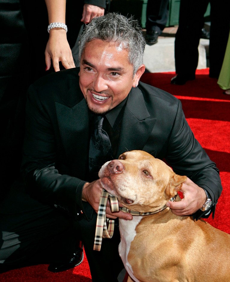 In this Aug. 19, 2006, file photo television personality and dog psychologist Cesar Millan arrives for the Creative Arts Emmy Awards in Los Angeles.  