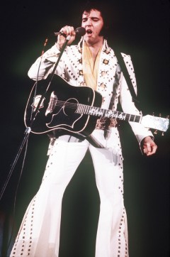 Clump of Elvis Presley’s hair sells for over $72,000