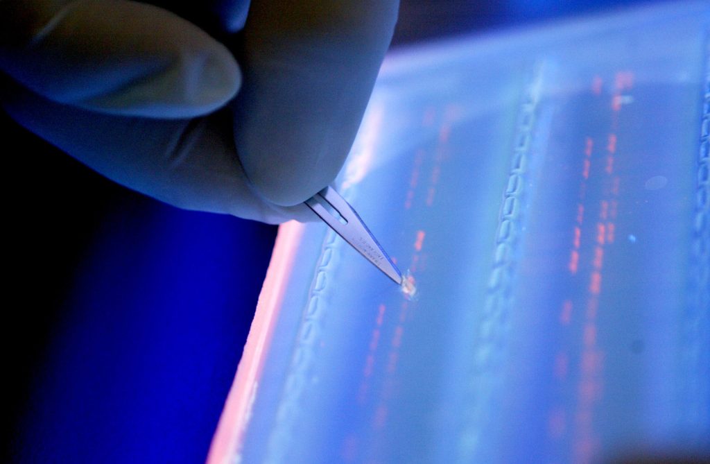 Tech mag asks: Should we really investigate cold cases involving murdered or abandoned infants?