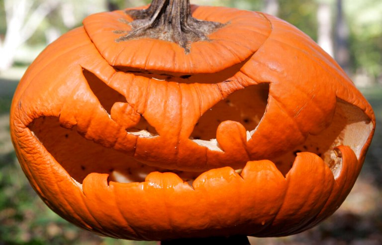 Vermont college ties Halloween parties to COVID-19 outbreak