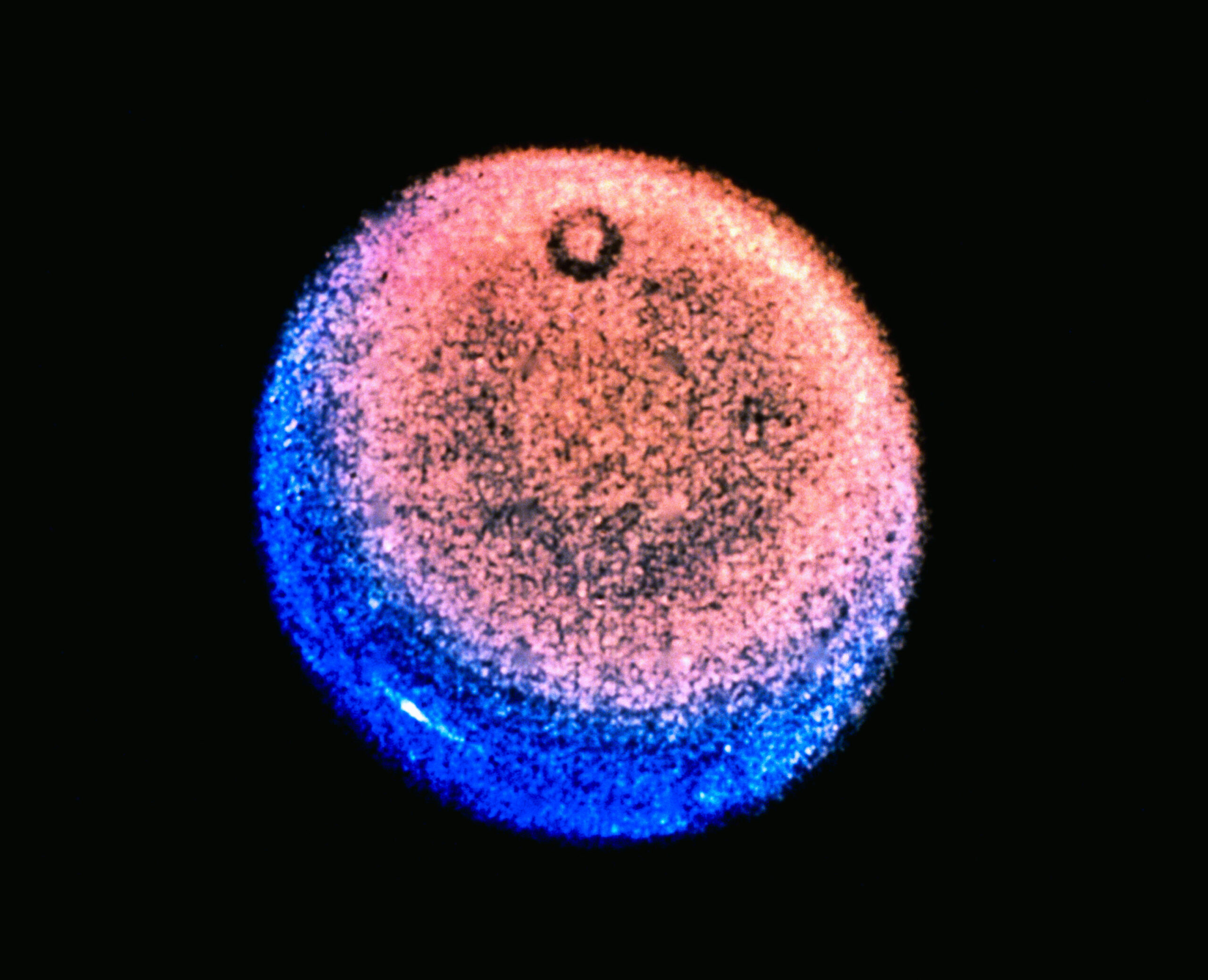 To infinity and beyond: Scientists advise NASA to focus on Uranus