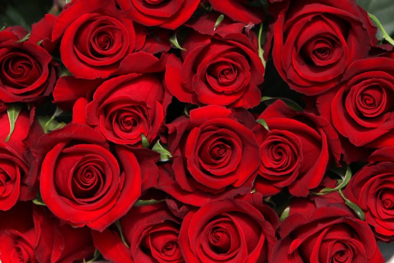 Catholic school accidentally sells roses with thongs inside for Mother’s Day