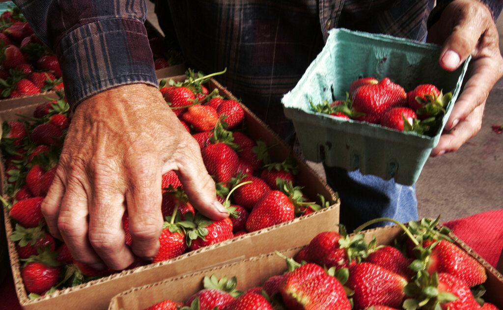 Food stamps: Arkansas to wrap up SNAP payments worth up to $1,691 for September in two days