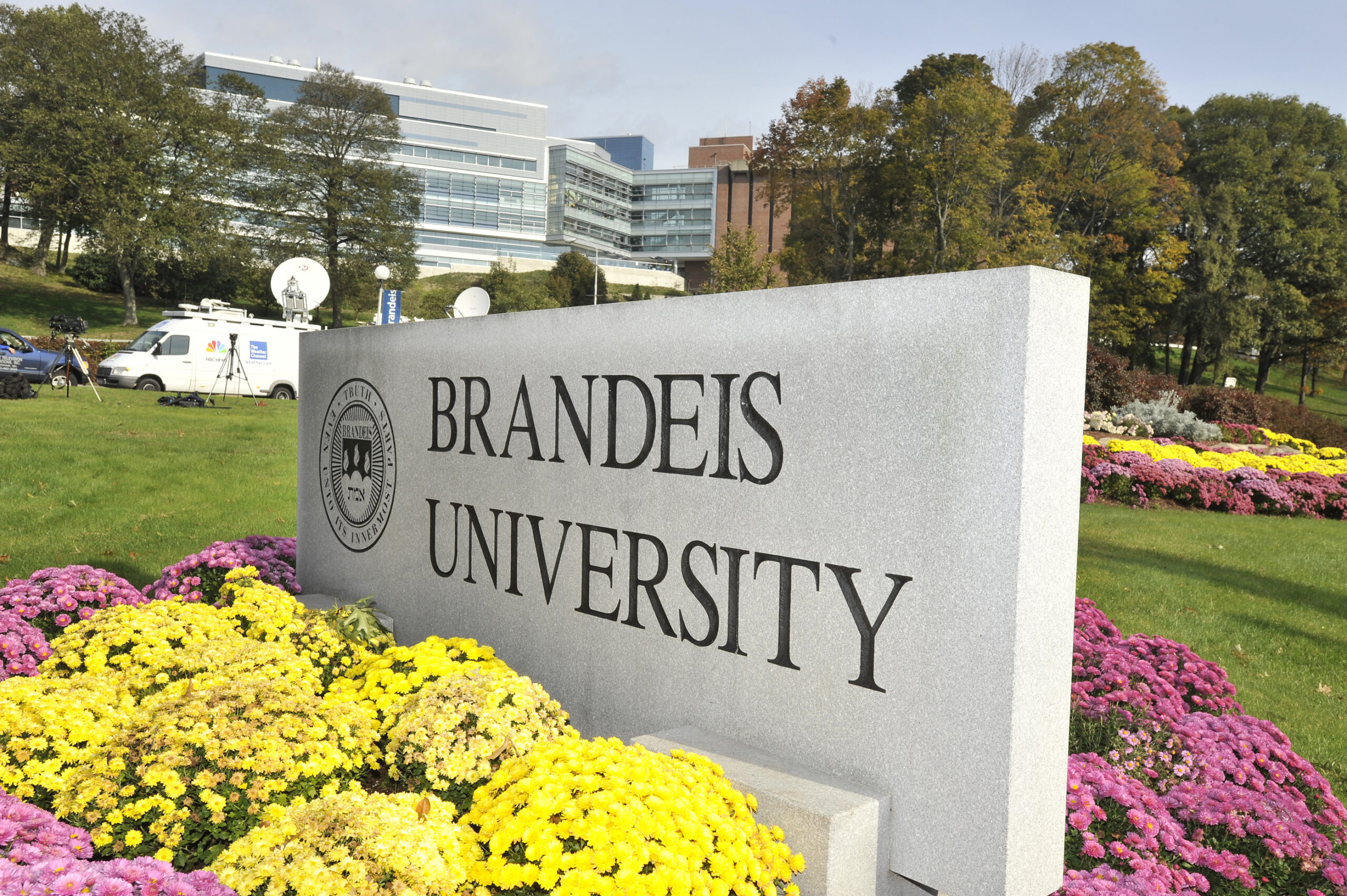 White Brandeis University administrator says all whites are racists