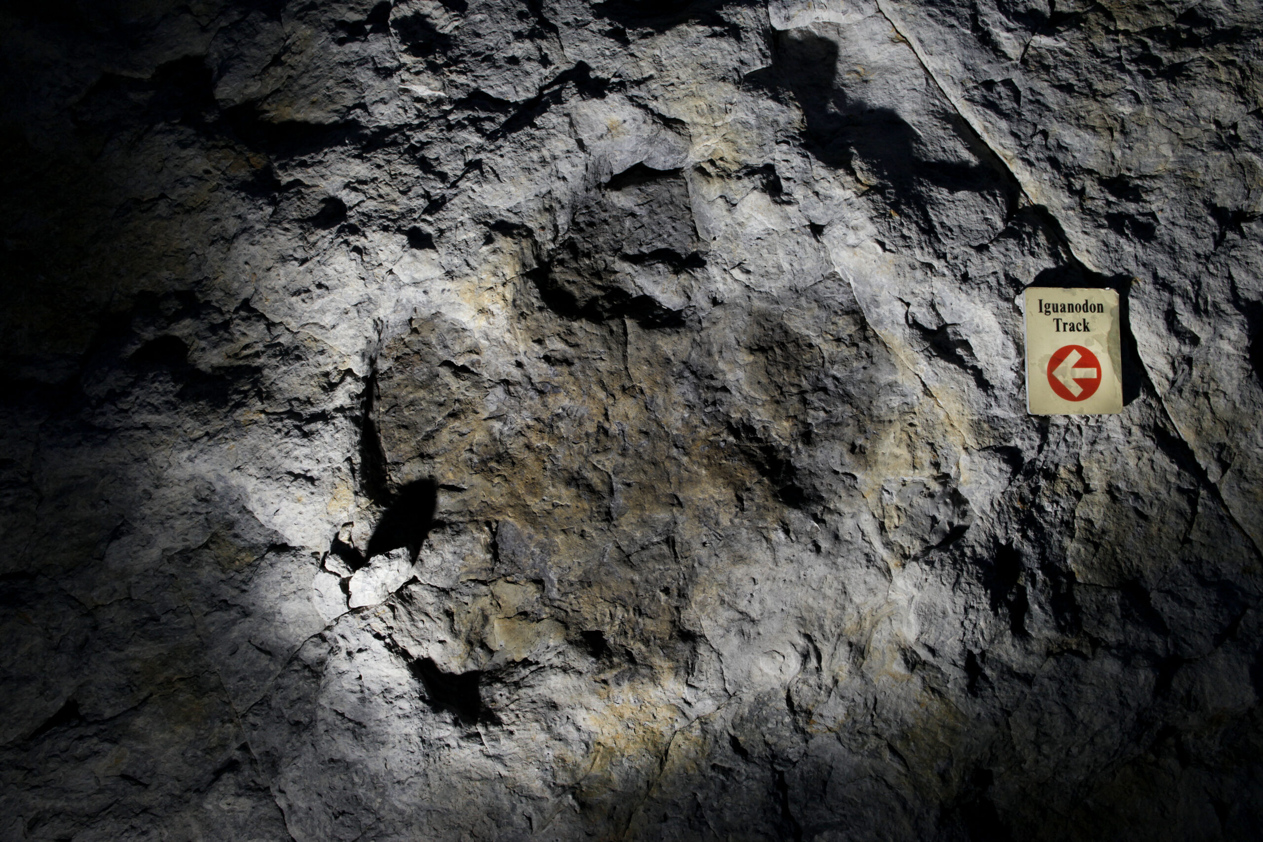 More dinosaur tracks discovered in Texas due to drought