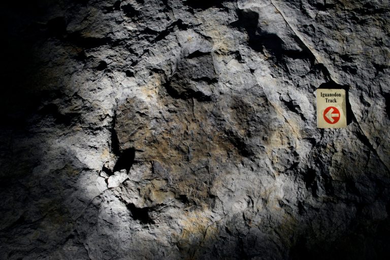 More dinosaur tracks discovered in Texas due to drought