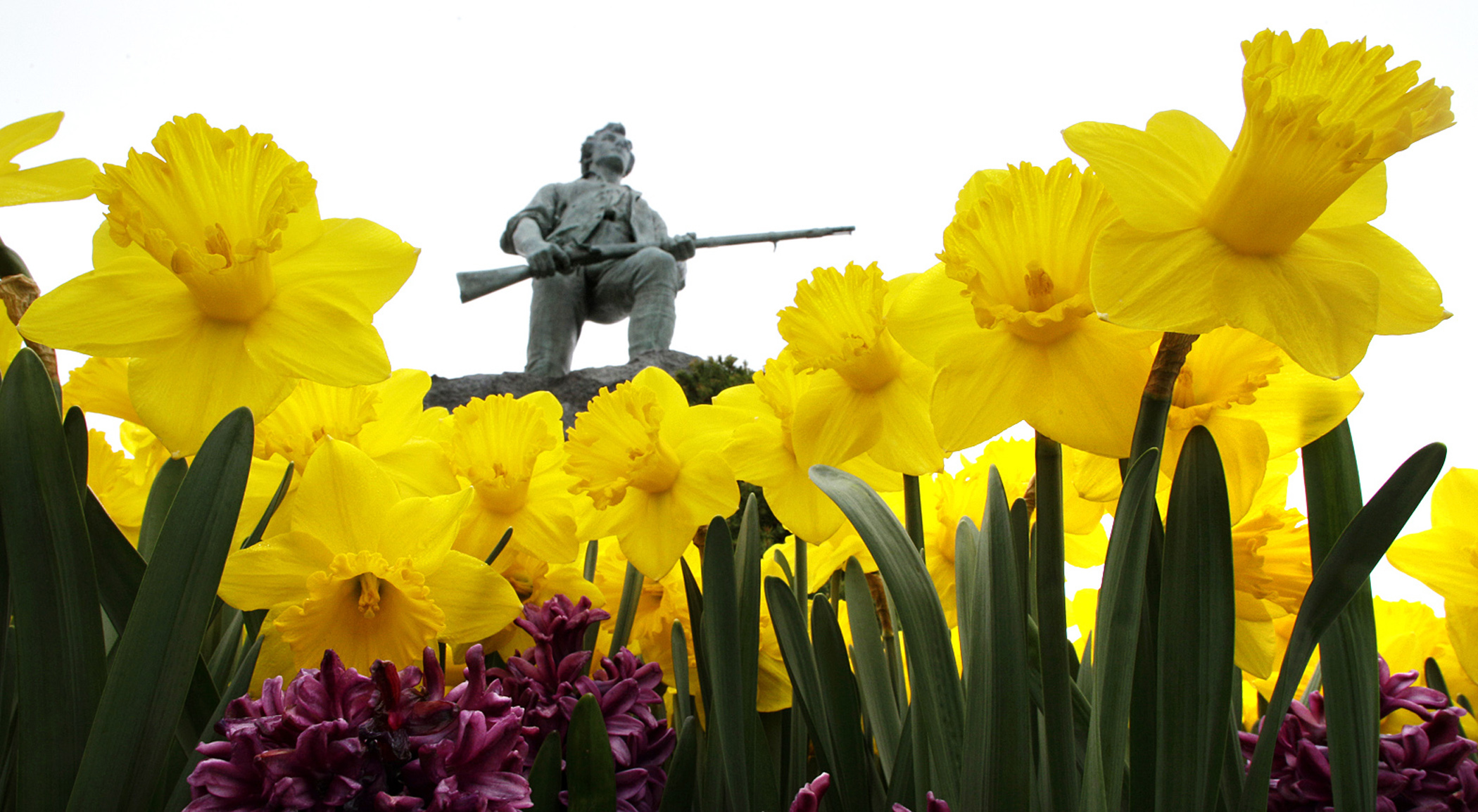 NRA predicts Supreme Court will finally define Second Amendment