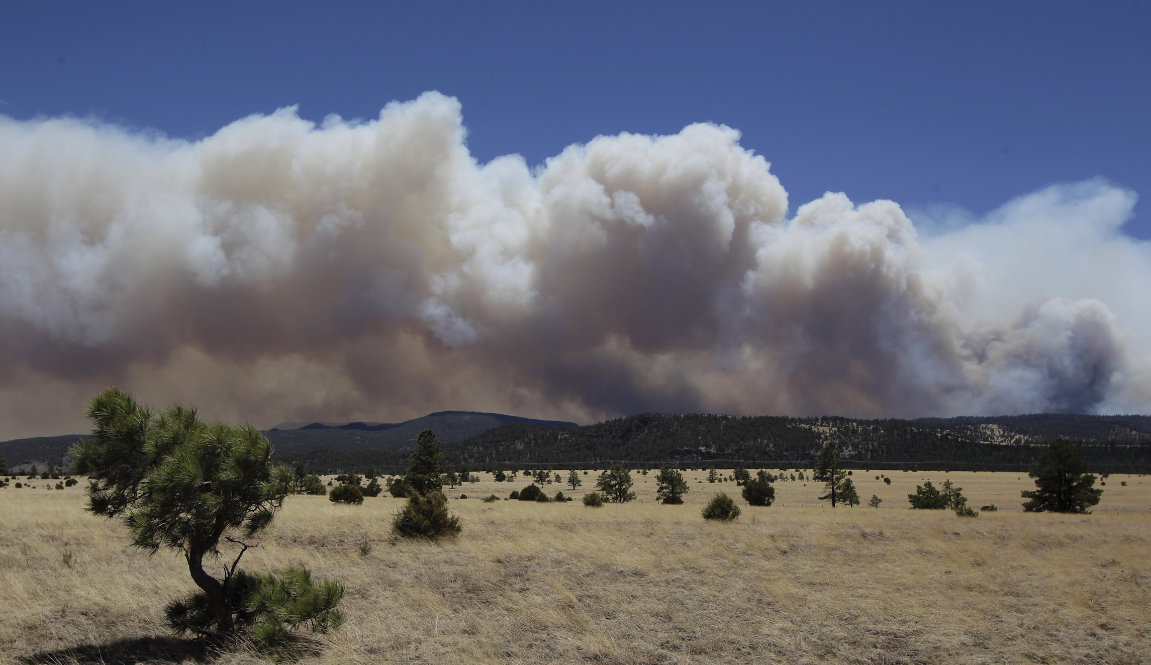 Wildfire in Arizona forces hundreds to evacuate after growing to 1,500 acres