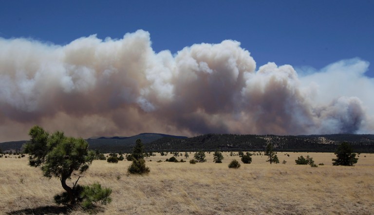 Wildfire in Arizona forces hundreds to evacuate after growing to 1,500 acres