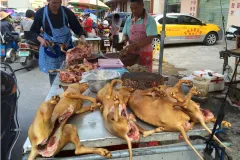 Taxpayers shouldn’t be paying China to make them sick