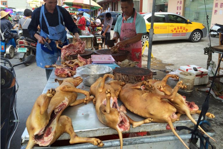 Vendors chop dog meat for sale at a market ahead of a dog meat festival in Yulin, in south China's Guangxi Zhuang Autonomous Region in 2016. U.S. officials believe the coronavirus came from a similar-style market in Wuhan.