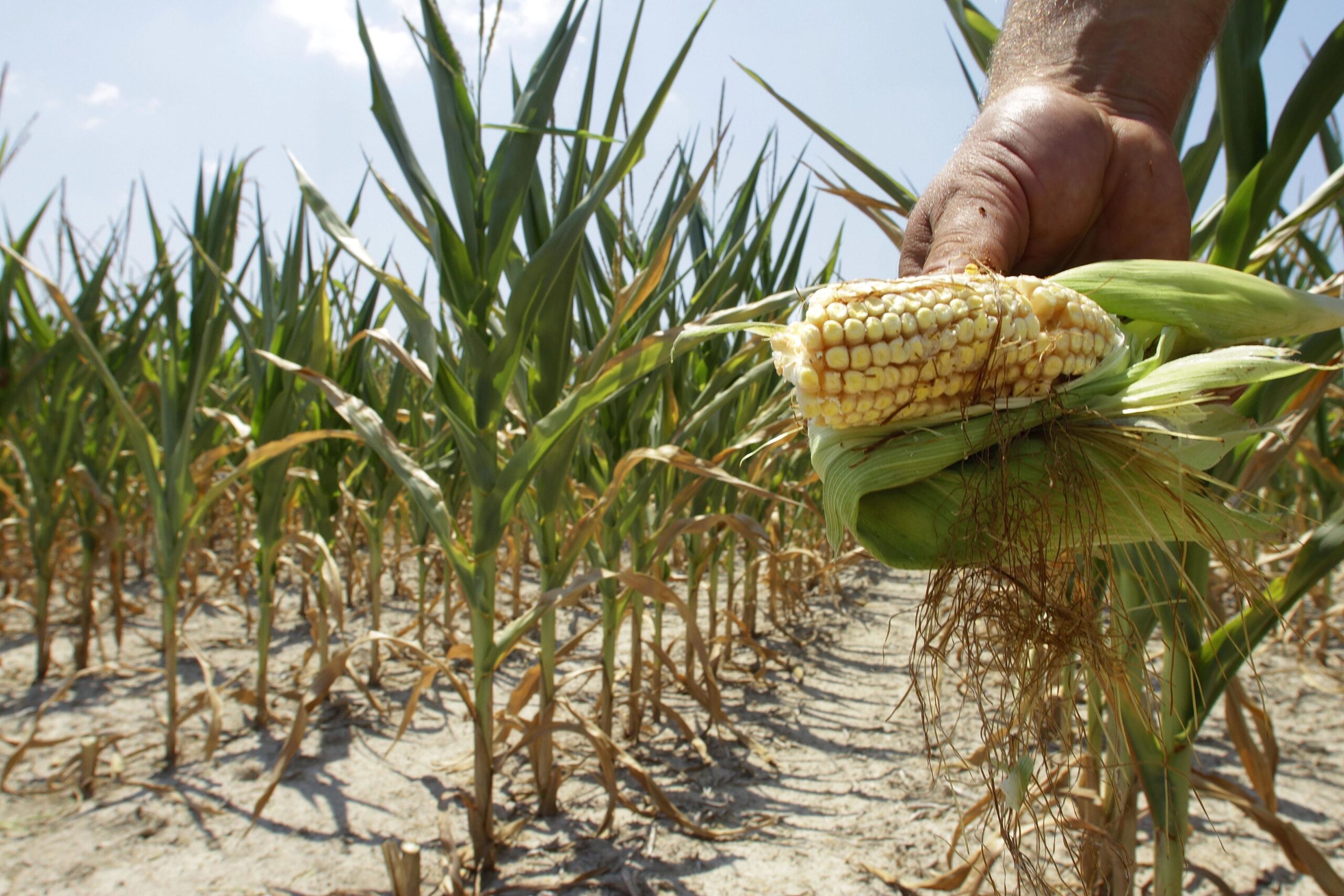 New Illinois program aims to help farmers with mental, physical health