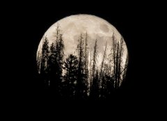 Two supermoons due in August