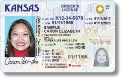 New scam: Texts offering Illinoisans Real ID upgrades