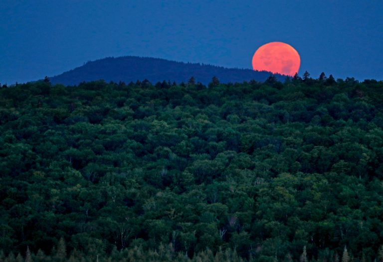 Maine Congress members call for halting proposed rule impacting forest economy