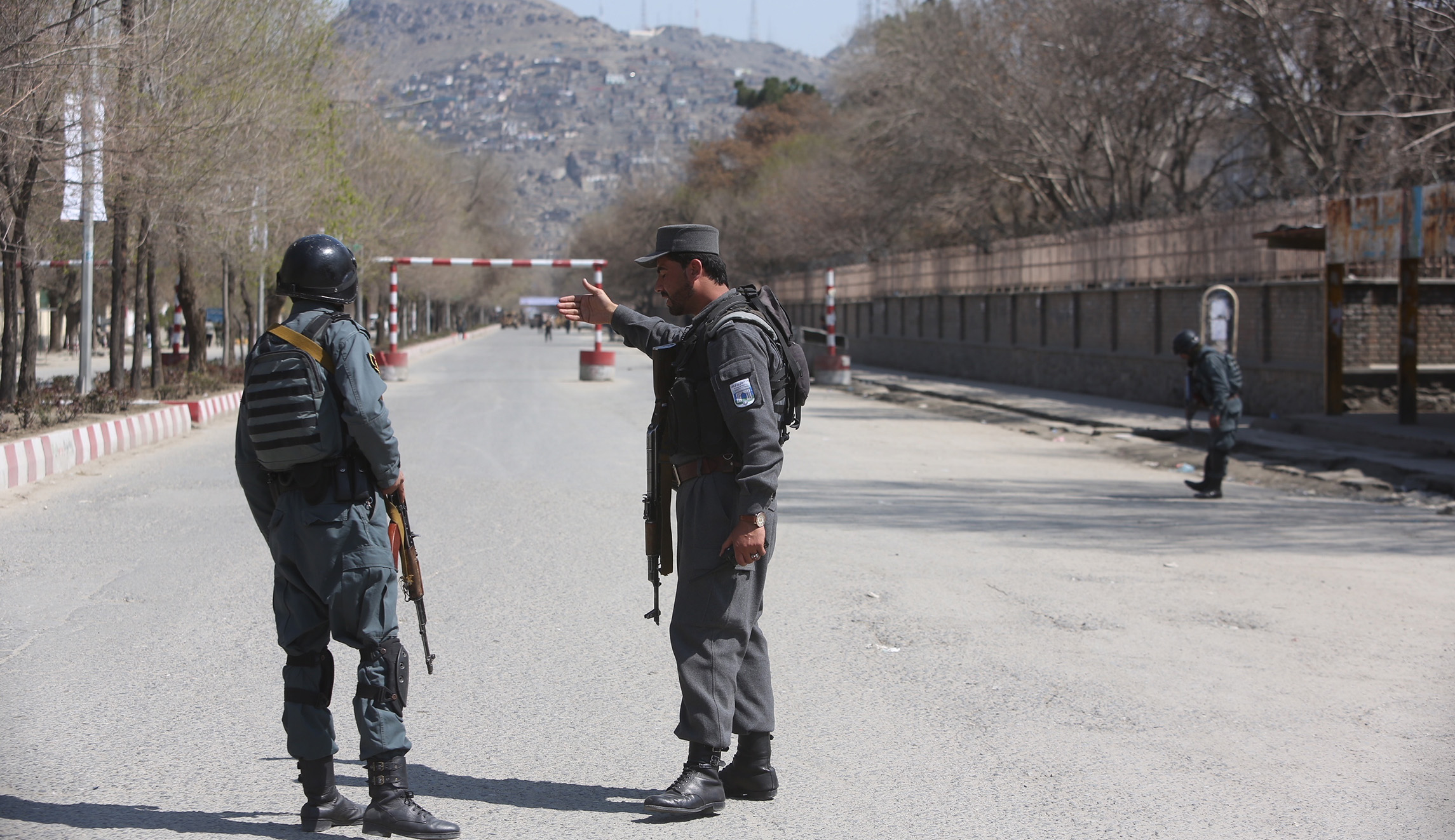 Suicide bomber kills 29 in Afghanistan during Shiite celebration of Persian New Year