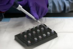 Georgia district attorney says more money is needed for DNA testing