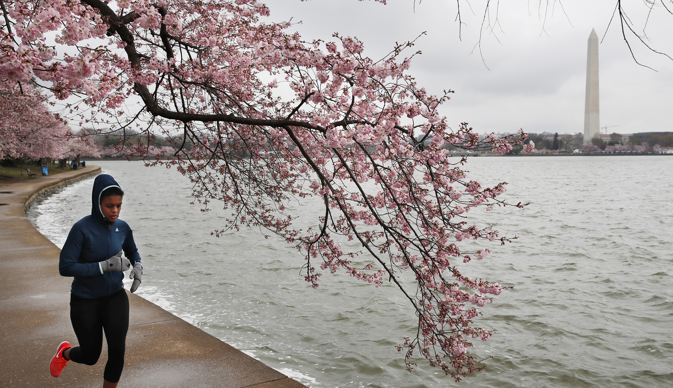 In defense of living in DC