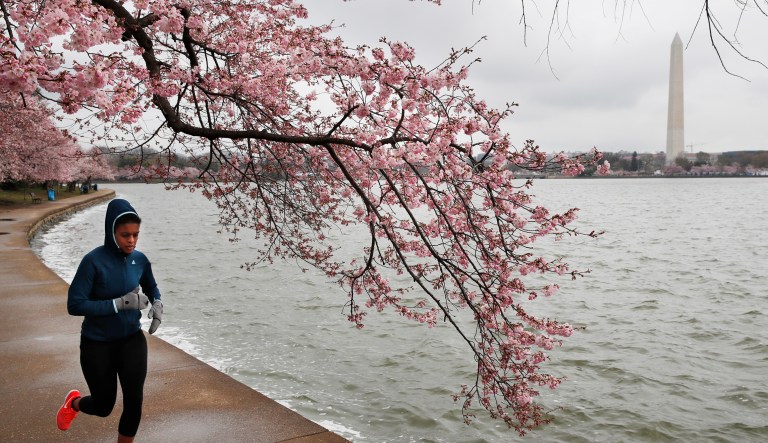 In defense of living in DC