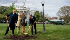Emmanuel Macron, the US Marines, and the importance of that little sapling from Belleau Wood