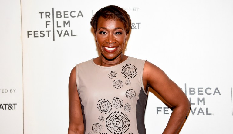Joy Reid insists that homophobic language in one of her old blog posts is the work of a computer hacker and her security expert said Wednesday they have a strong suspicion of who did it. 