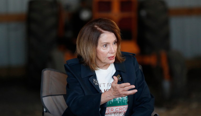 House Minority Leader Nancy Pelosi, D-Calif., speaks during a meeting in Polk City, Iowa. 