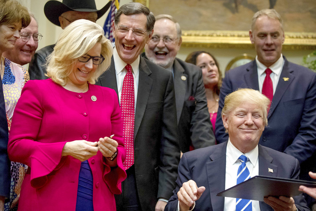 Cheney rising: Second to Trump with all 2024 voters