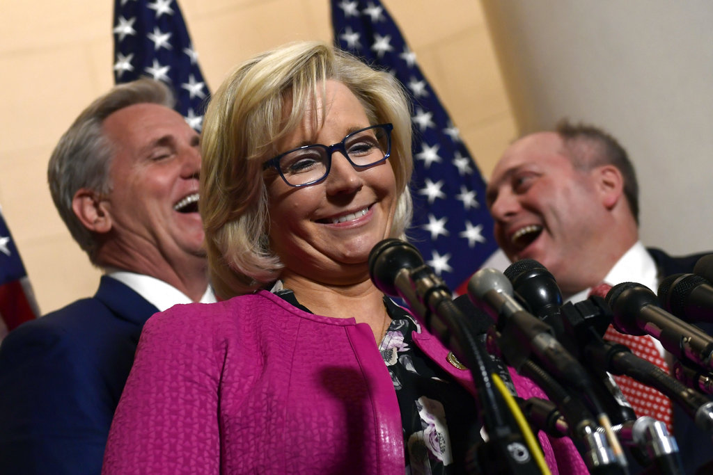 Just 15% of Congress rate 100% on conservative family report card