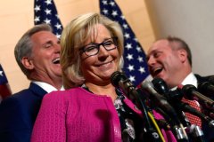 Just 15% of Congress rate 100% on conservative family report card