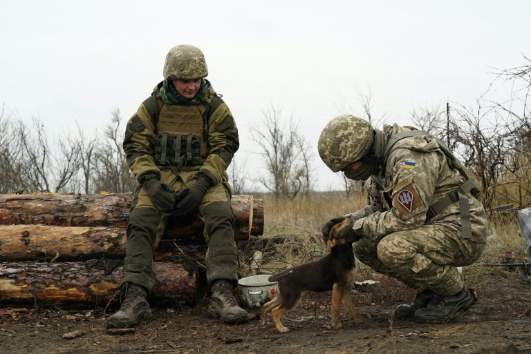 ‘Small but mighty’: Ukrainian soldiers rescue puppy they call ‘Rambo’